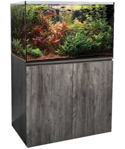 the online aquarium shop rothwell.